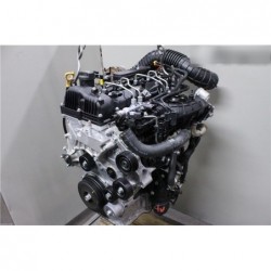 Motor 2.0 crdi  D4HA