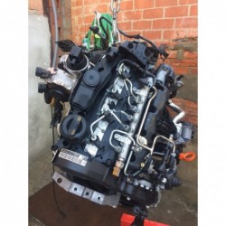 MOTOR CBD