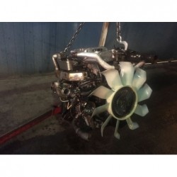Motor canter 4m42-OAT