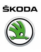 Motores SKODA de segunda mano